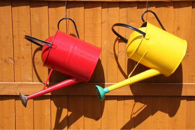 watering can