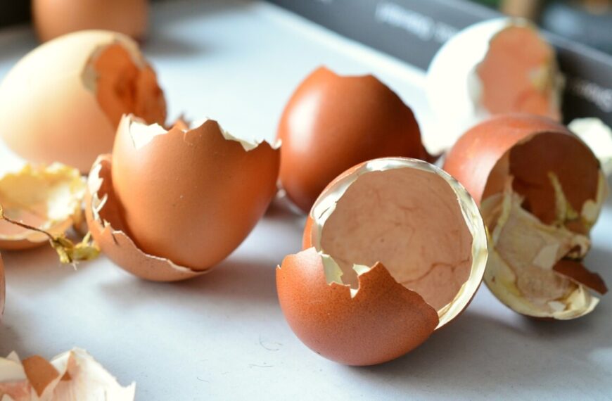 Egg Shells for Plants: Superb Advantages Await!