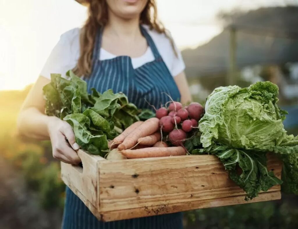 how to grow vegetables at home