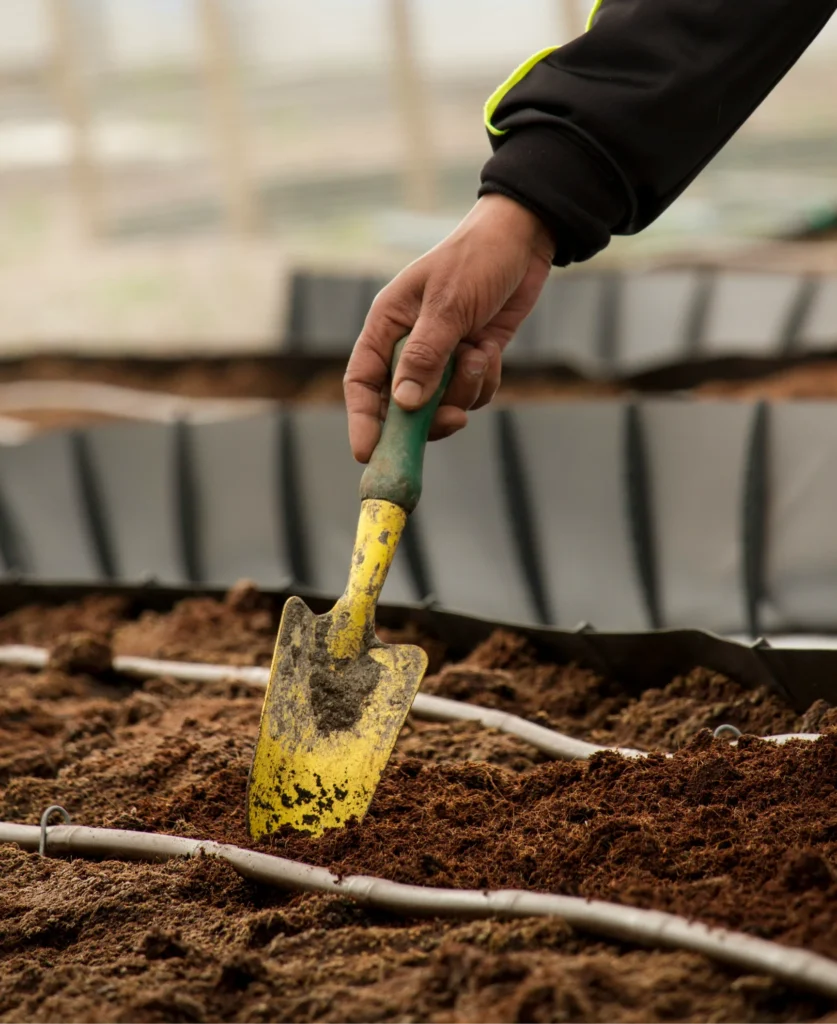 hand trowel