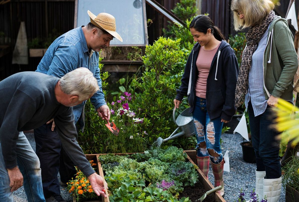 Planning Your Vegetable Garden Layout