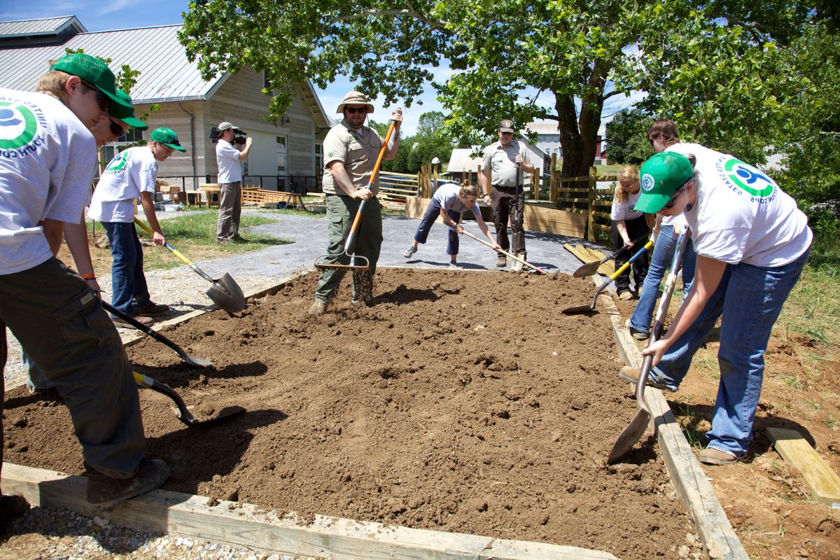 Planting and Maintaining Your Vegetables